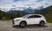 Lexus NX 200t F Sport 2015 Widescreen Picture #62