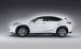 Lexus NX 300h F Sport 2014 Widescreen Picture #1