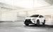 Lexus RX 350 F Sport 2016 Widescreen Picture #2