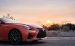 Lexus Rc F 2016 Widescreen Picture #22