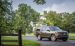 Lincoln Navigator 2015 Widescreen Picture #35