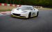 Lotus Evora Type 124 Endurance Racecar Widescreen Picture #0