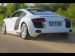 MTM 2009 Audi R8R Picture #1