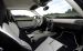 Mansory 2009 Porsche 911 Carrera Facelift Widescreen Picture #22
