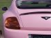 Mansory 2009 Vitesse Rose Picture #10