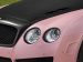 Mansory 2009 Vitesse Rose Picture #20