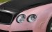 Mansory 2009 Vitesse Rose Widescreen Picture #22