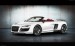 Mansory Audi R8 Spyder 2011