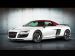 Mansory Audi R8 Spyder 2011 Picture #17