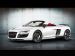Mansory Audi R8 Spyder 2011 Picture #21