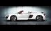 Mansory Audi R8 Spyder 2011 Widescreen Picture #23