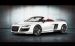 Mansory Audi R8 Spyder 2011 Widescreen Picture #7