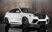 Mansory BMW X6 2011 Widescreen Picture #17