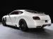 Mansory Bentley Continental GT 2011 Picture #0
