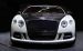 Mansory Bentley Continental GT 2011 Widescreen Picture #7