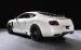 Mansory Bentley Continental GT 2011 Widescreen Picture #6