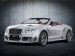 Mansory Bentley Continental GT 2012 Picture #5