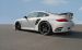 Mansory Porsche Carrera Widescreen Picture #9