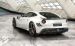Mansory Stallone 2013 Widescreen Picture #12