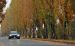 Maserati quattropode sport gt s Widescreen Picture #10