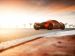 McLaren P1 2014 Picture #196