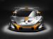 McLaren P1 GTR Concept 2014 Picture #5