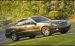 Mercedes 2009 E320 BlueTEC Widescreen Picture #13