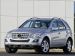 Mercedes 2010 ML450 Hybrid Picture #23