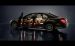 Mercedes 2010 S Class Widescreen Picture #2