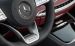 Mercedes Benz S63 AMG 4Matic Cabriolet Edition 130 2016 Widescreen Picture #11
