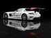 Mercedes Benz SLS AMG GT3 2011 Picture #8