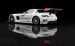 Mercedes Benz SLS AMG GT3 2011 Widescreen Picture #10