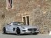 Mercedes Borrasca 2013 Picture #10