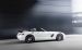 Mercedes GT Final Edition 2014 Widescreen Picture #68