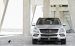 Mercedes M Class 2012 Widescreen Picture #36
