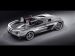 Mercedes SLR Stirling Moss Picture #16