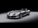 Mercedes SLR Stirling Moss Picture #10