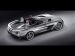 Mercedes SLR Stirling Moss Picture #19