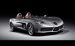 Mercedes SLR Stirling Moss Widescreen Picture #22