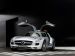 Mercedes SLS AMG F1 Safety Car 2010 Picture #9