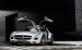 Mercedes SLS AMG F1 Safety Car 2010 Widescreen Picture #18