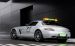 Mercedes SLS AMG F1 Safety Car 2010 Widescreen Picture #24