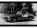 Mercedes sl 300 gullwing Picture #21