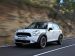 Mini Countryman 2011 Picture #5