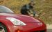 Nissan 350Z Coupe 2008 Widescreen Picture #30