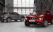 Nissan Juke 2011 Widescreen Picture #22