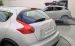 Nissan Juke 2011 Widescreen Picture #19