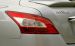 Nissan Maxima 2009 Widescreen Picture #30