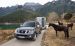 Nissan Pathfinder and Navara 2011 Widescreen Picture #56