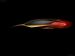 Nissan Resonance Concept 2013 Picture #18